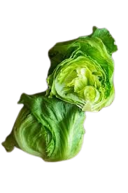 Lettuce Iceberg